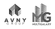logo avny group